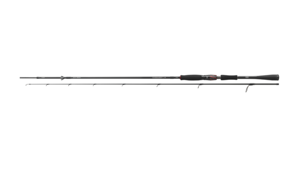 Canne spinning Daiwa Tournament AGS Jigger