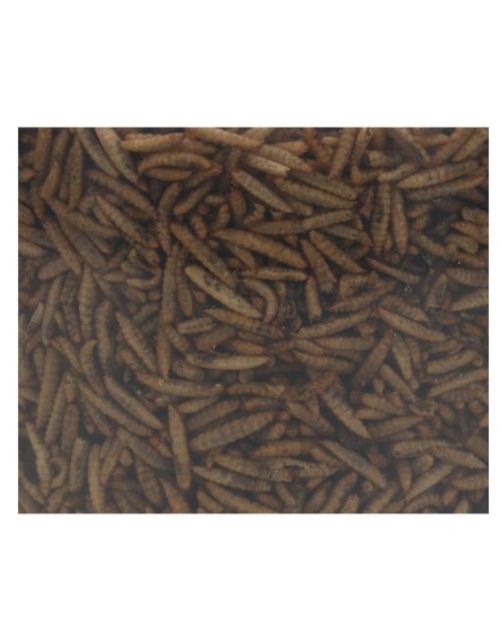 Allbirds&Co Black Soldier Fly In Emmer - Tuinvogelvoer - 650 g