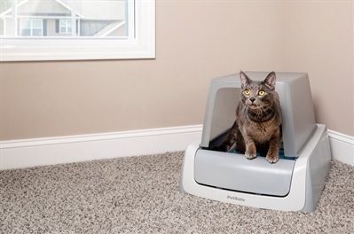 PetSafe ScoopFree - Bedekte Zelfreinigende Kattenbak, Tweede Generatie - Geen Scheppen, Privacy, Gezondheidsmonitoring