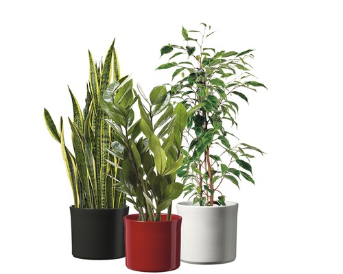 Soendgen Miami keramische bloempot, Ø 13 cm, H 11 cm, wit
