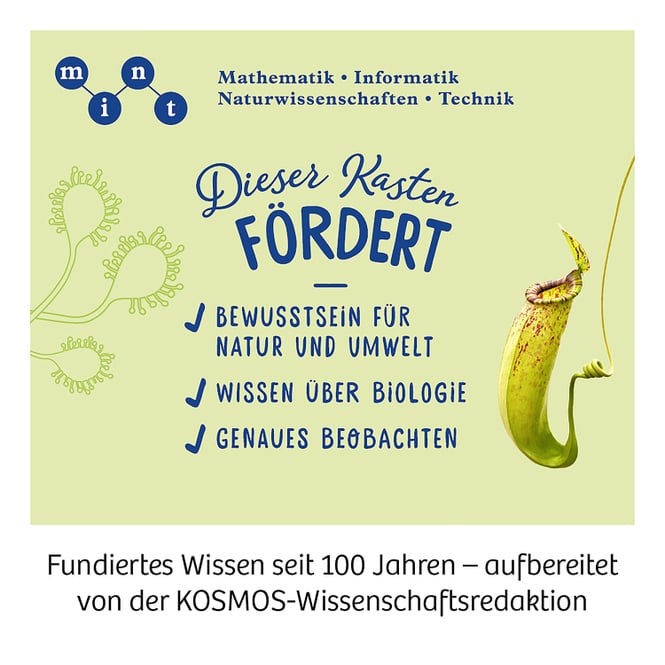 Fleischfressende Pflanzen - Experimentierkasten