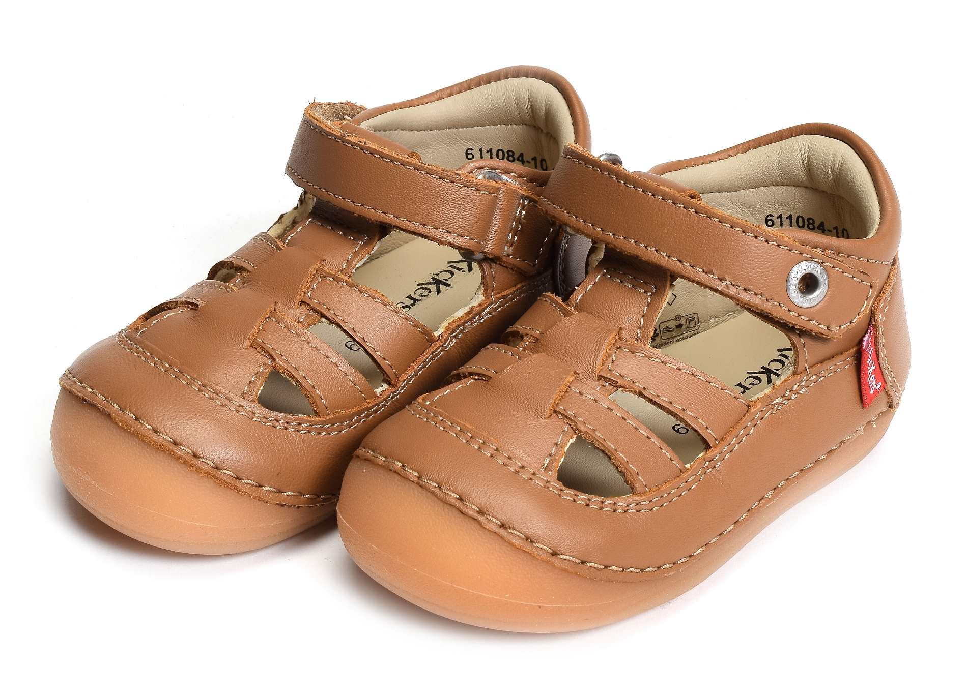 Sushy boy camel
