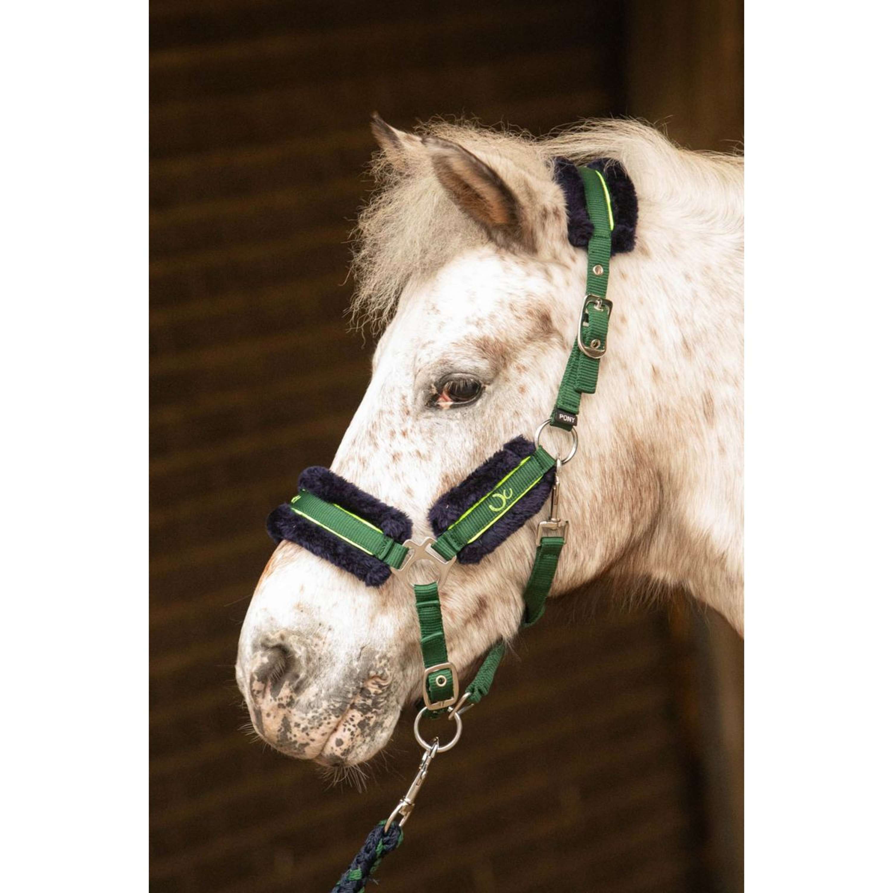 Harry's Horse Halsterset STOUT! Soft Lime Legergroen
