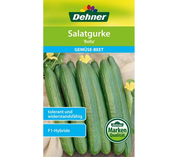 Dehner Samen Salatgurke 'Bella'