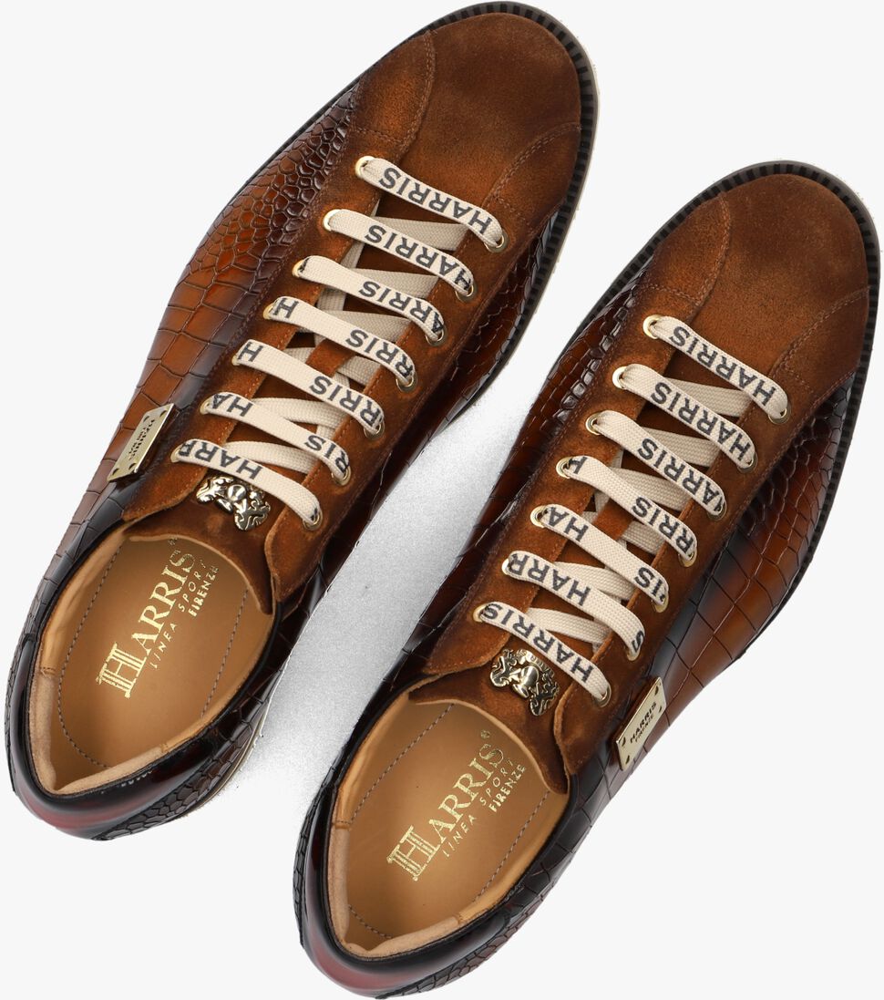 bruine harris lage sneakers 2892