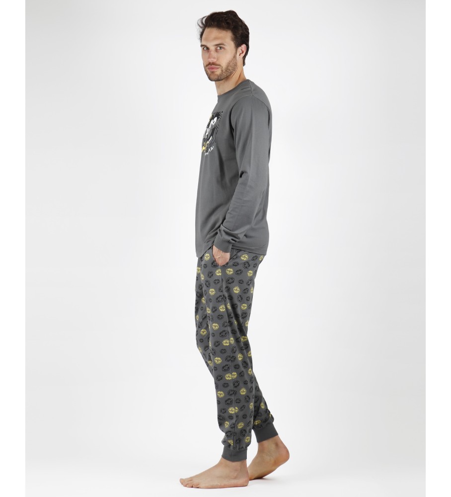 Pijama de manga comprida cinza com estampa de animais da Disney