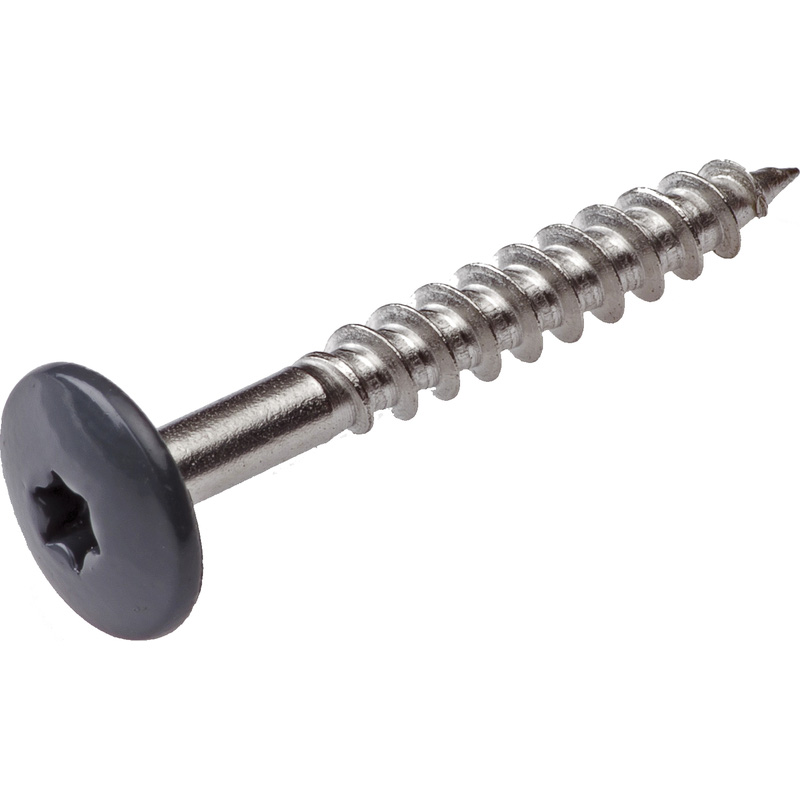 Kleurkop schroeven RVS 4,8x38mm TX20 RAL 7016 Antraciet