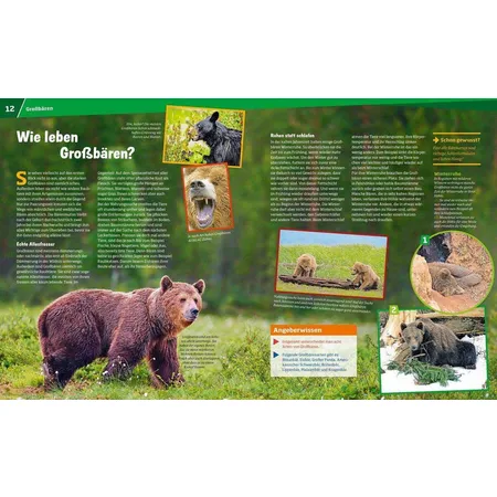Tessloff WAS IST WAS 115 - Bären, Grizzly, Panda und Eisbär