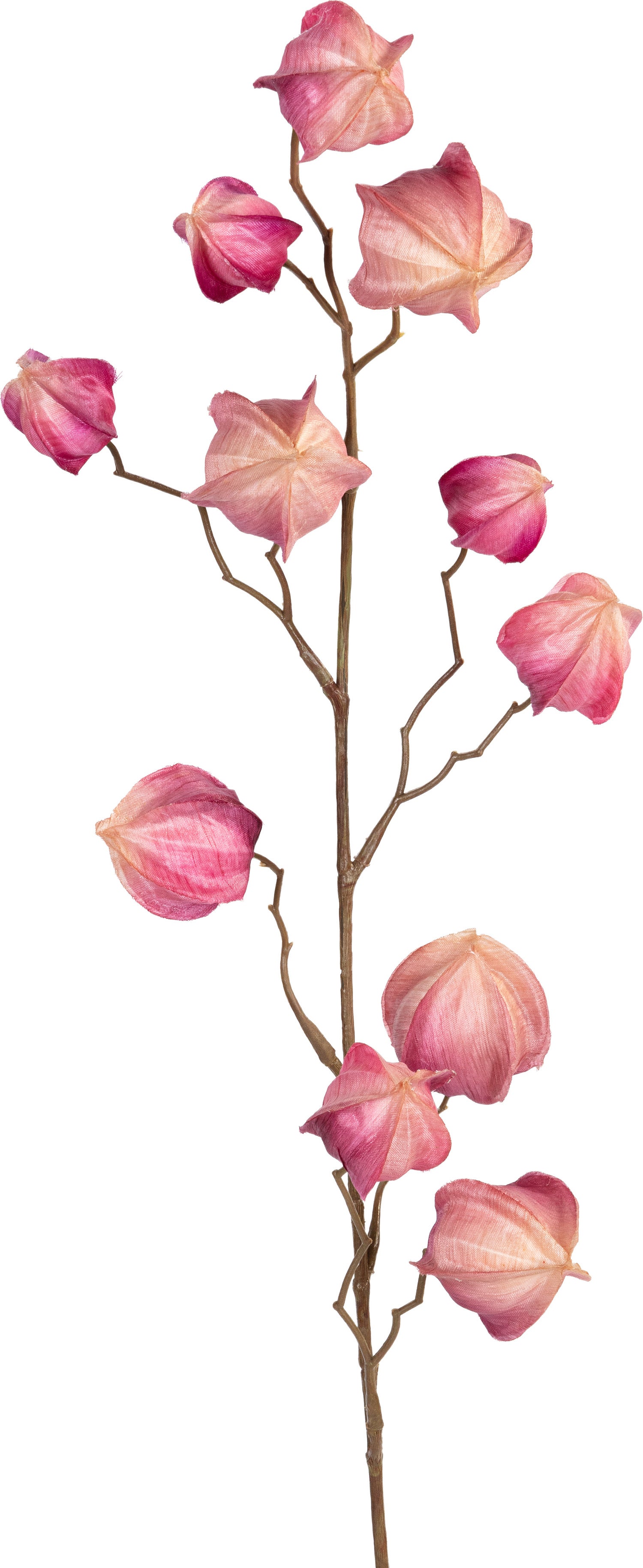 Louis Maes kunstbloem Lampionplantje roze 80 cm