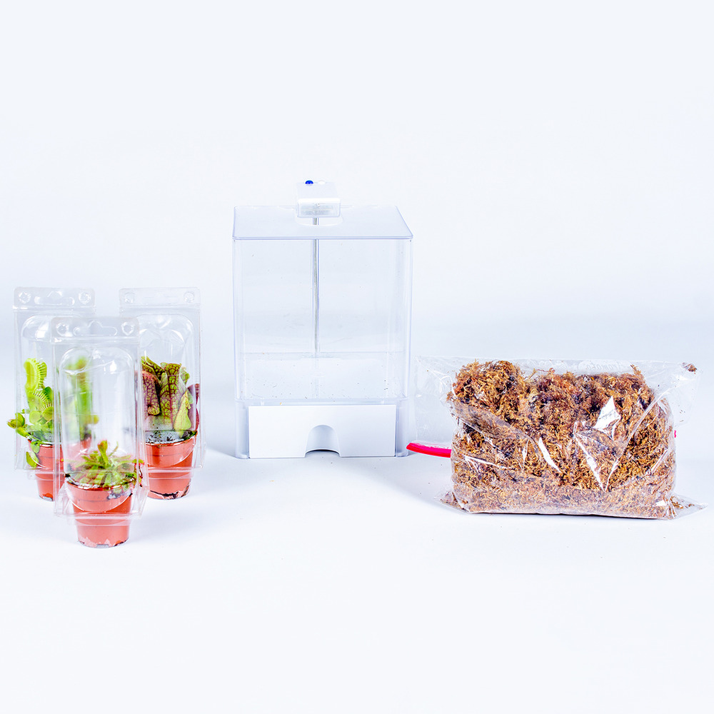 Plante terrarium bye bye fly - plantes carnivores - facile d'entretien – ⌀23 cm