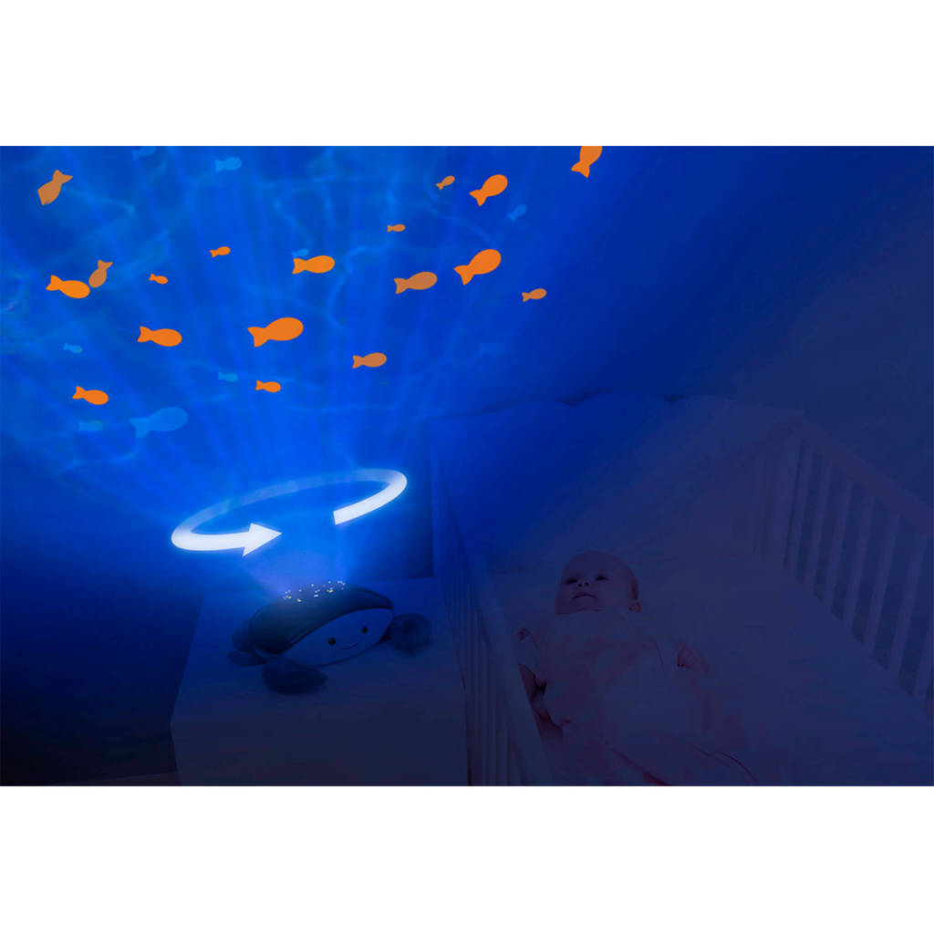 Leuk!Cody Ocean Projector