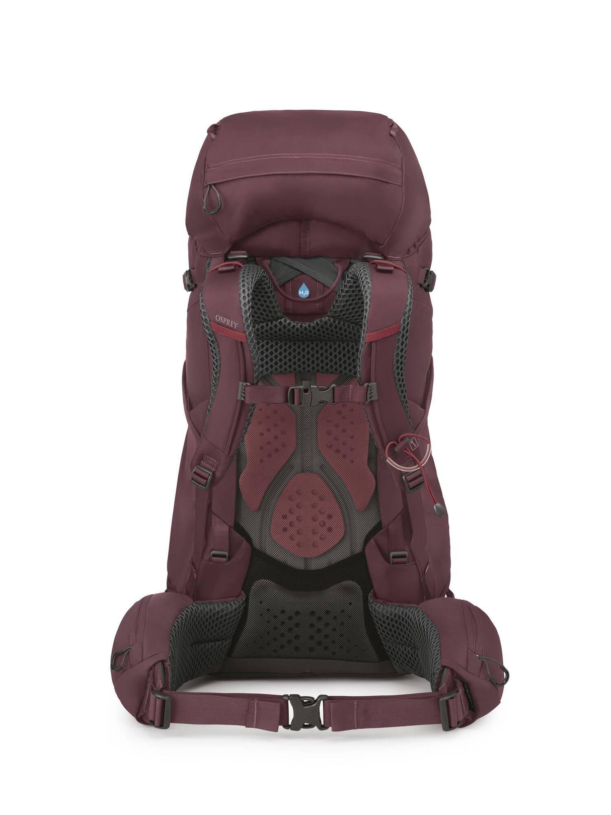 Osprey<br>Kyte 58