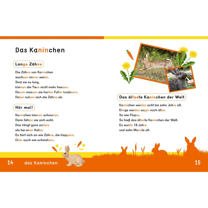 DUDEN - Weißt du schon alles über Haustiere? - Dein Lesestart - Ab 1. Klasse