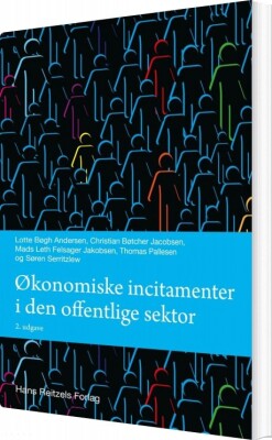 Økonomiske Incitamenter I Den Offentlige Sektor - Lotte Bøgh Andersen - Bog
