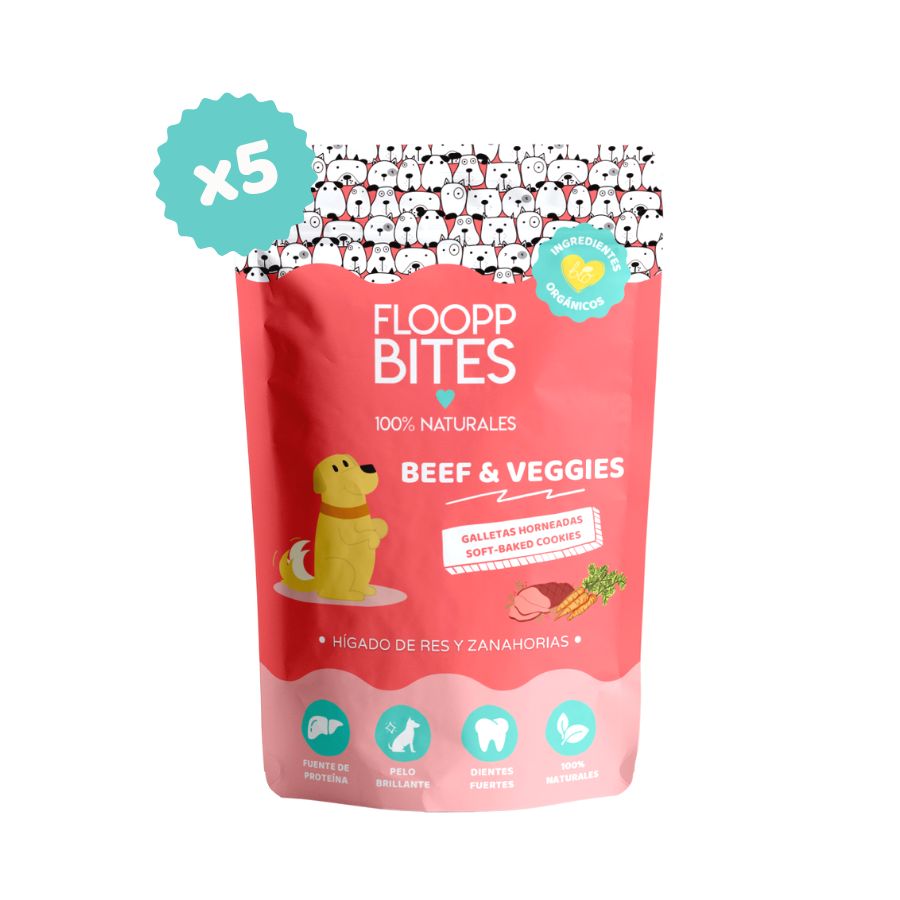 FlooppBITES Pacote de Biscoitos Naturais para Cães com Carne e Vegetais