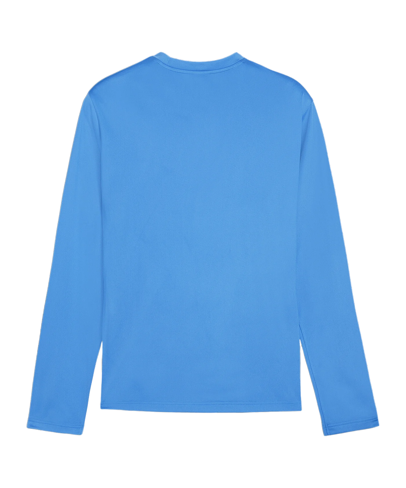 PUMA teamGOAL Training Sweatshirt Blau F02