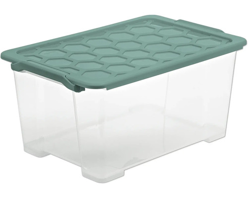 Rotho Box met deksel Evo Safe 44 l transparant 59x28x39,5 cm