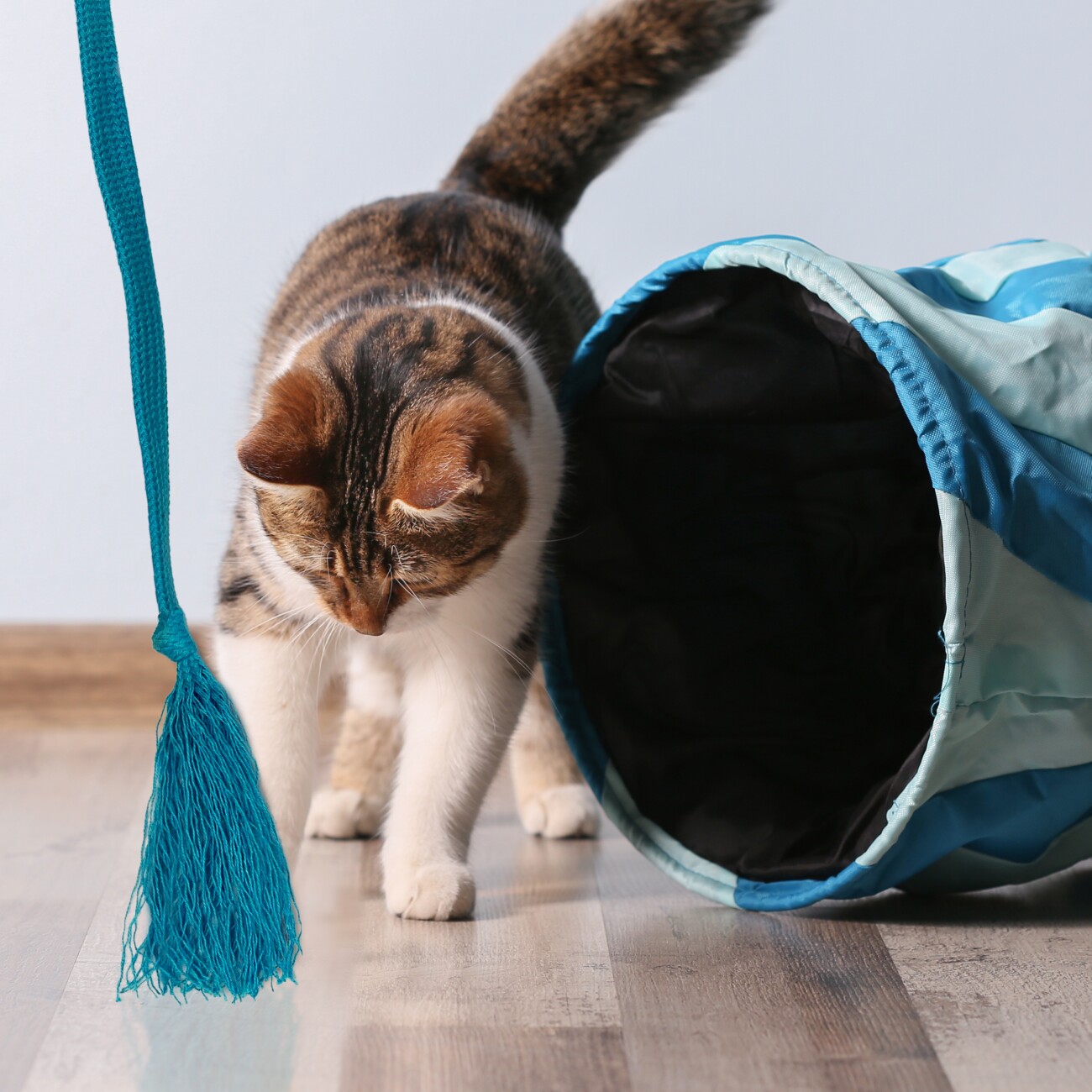 Kater Kasimir RANGELANGEL - Die natürliche Spielangel aus Buchenholz mit Baumwollband (türkis)