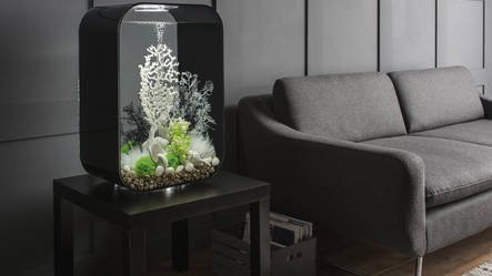 biOrb Life 15 MCR Zwart | Aquarium