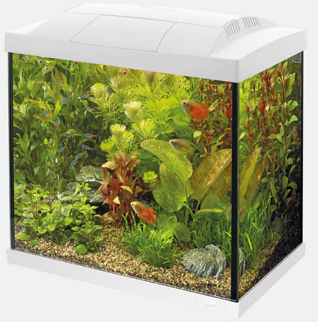 Start 30 Tropical Kit Wit