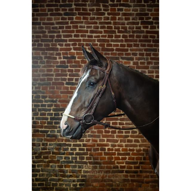 Hoofdstel D Collection by Dy'on Rope Drop Noseband Bruin
