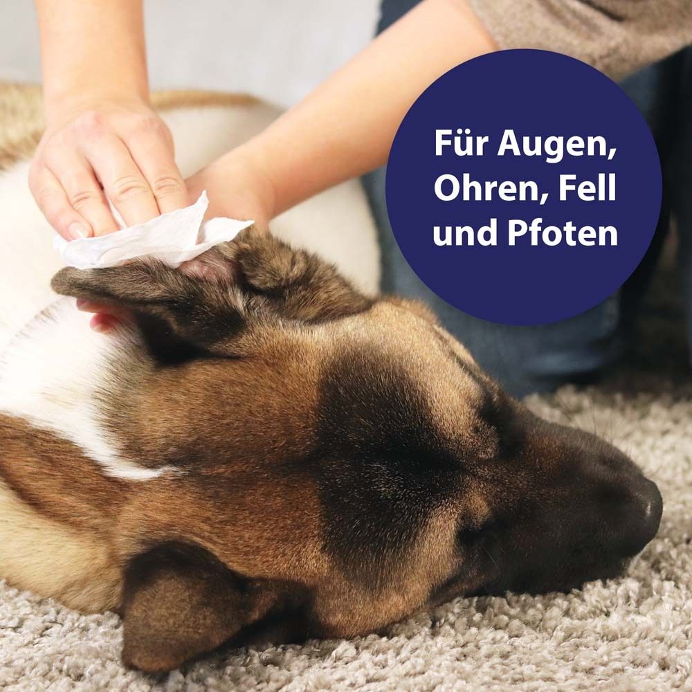 Canosept® Universal Pflegetücher für Hunde