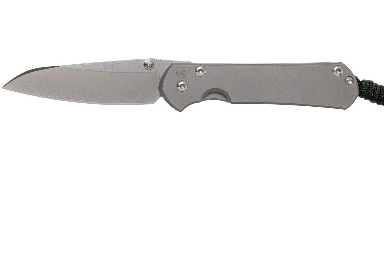 Chris Reeve Sebenza 31 Small Plain Glass Blasted Insingo S31-1685 zakmes