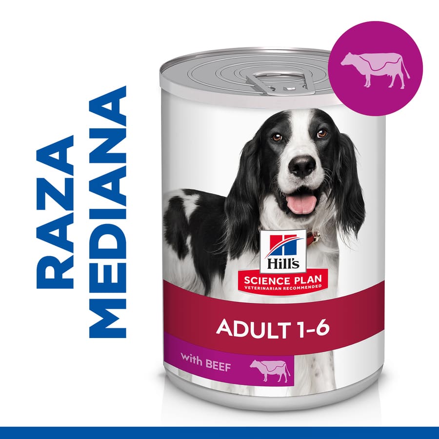 Ração enlatada Hill's Science Plan Adult Beef para cães
