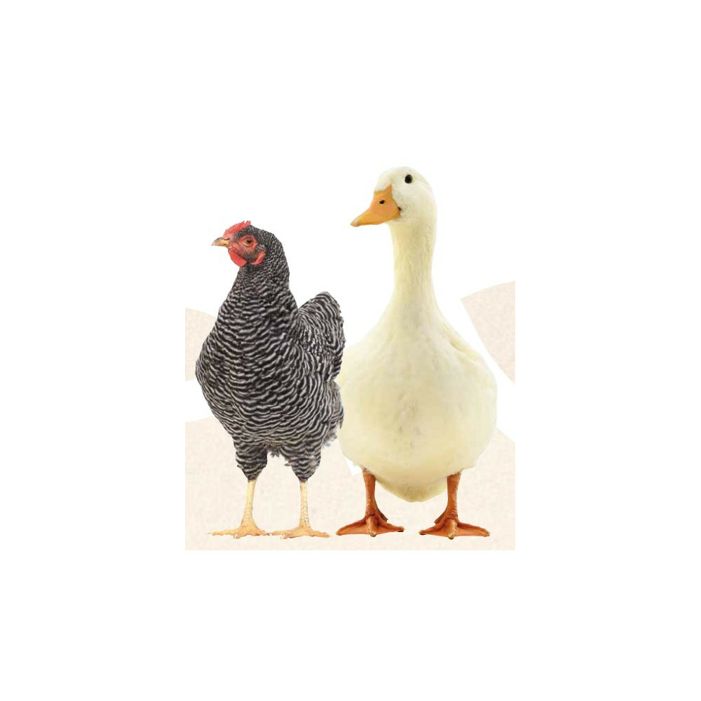 Natur' vers, contre les vers pour poules et canards 250 ml