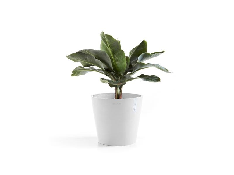 Ecopots Pflanzentopf Amsterdam 40, Weiss Robuster und langlebiger Blumentopf