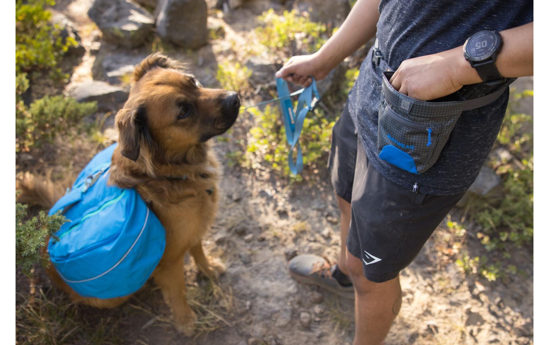Snack-Tasche Treat Trader Pouch, Blue PoolLeckerli-Beutel für Hunde