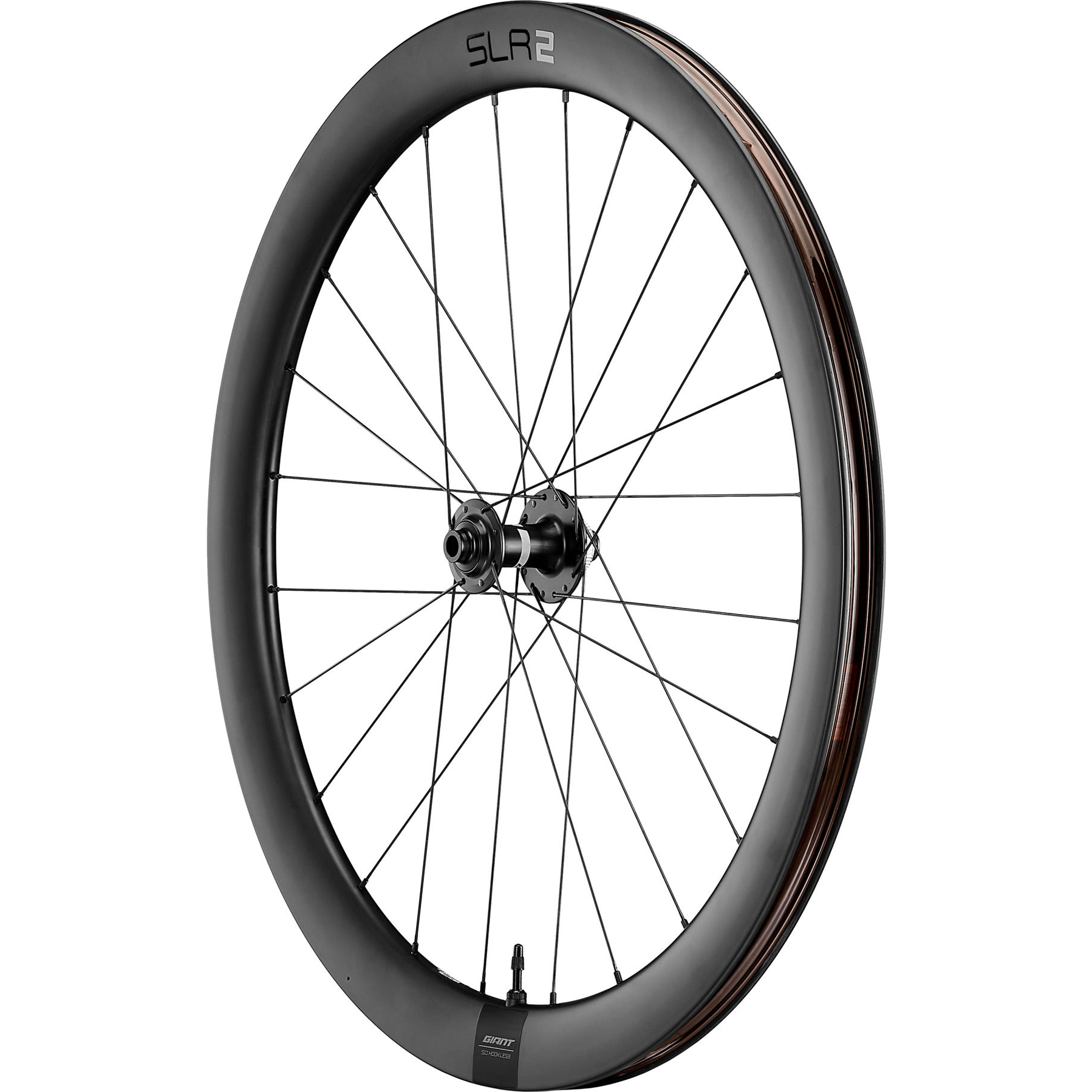 Giant SLR 2 50 Disc Racefiets Wielset