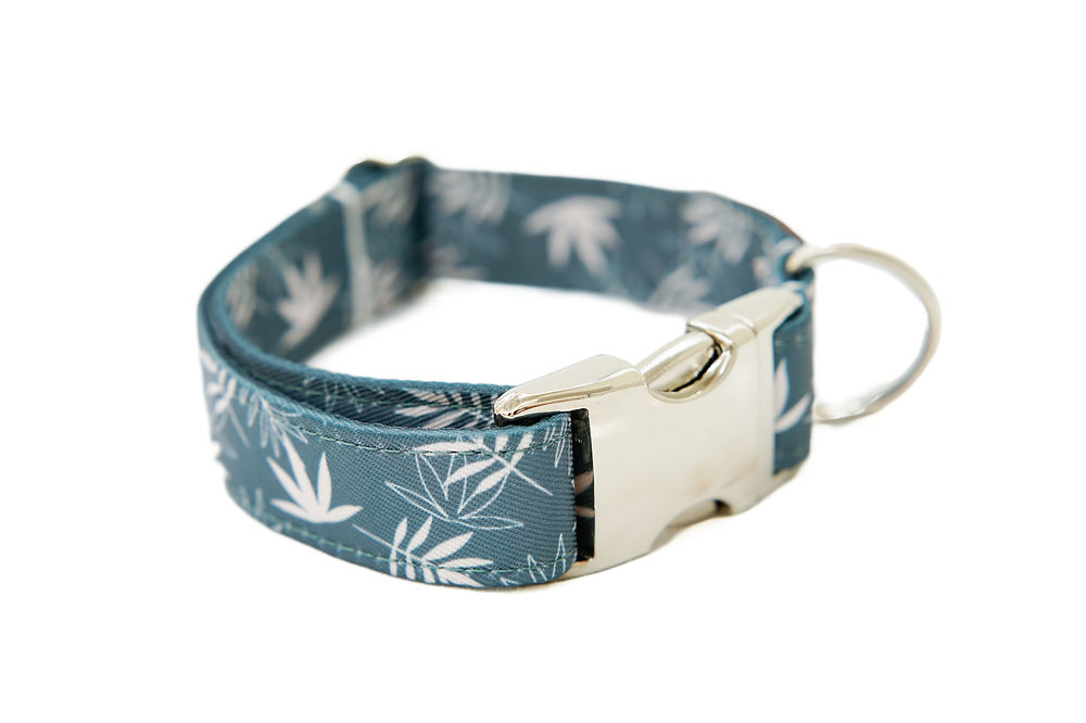 Coleira normal para cães LIL STONER, 2,5 cm, tamanho pequeno.