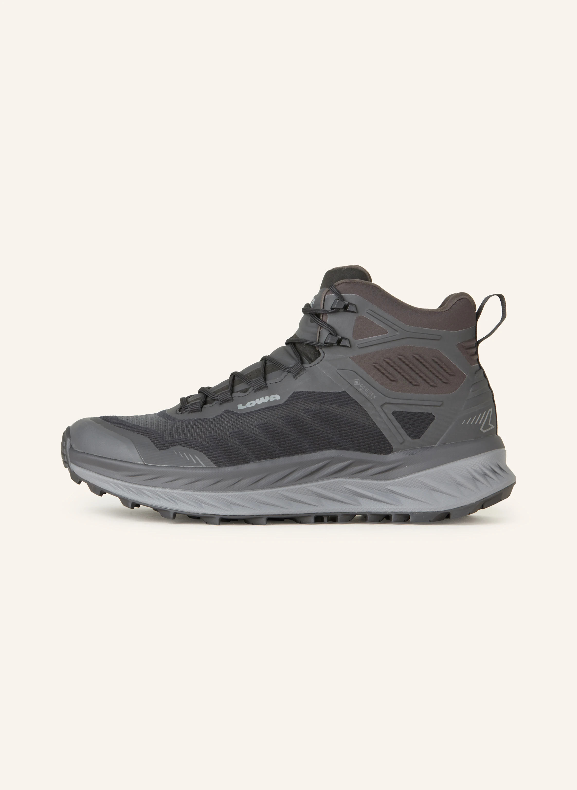 LOWA Wanderschuhe RENEGADE EVO ICE GTX