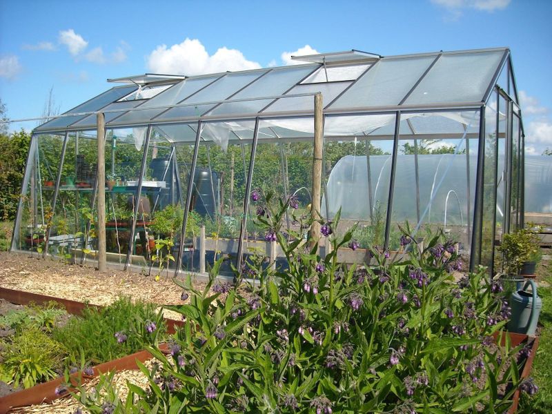 ACD - Prestige S208 - Tuinkas - Aluminium - 3,8 x 5,93m