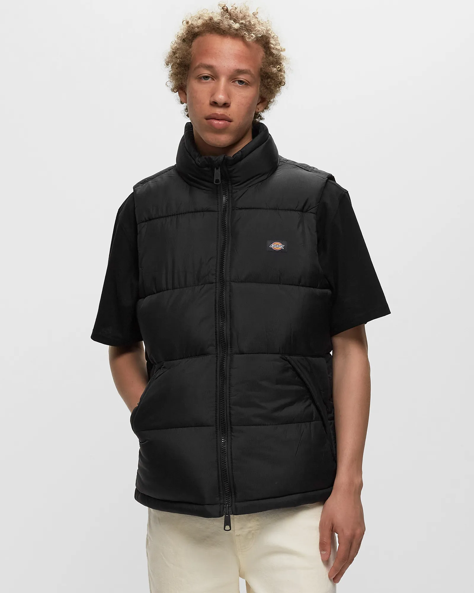 DICKIES WALDENBURG VEST