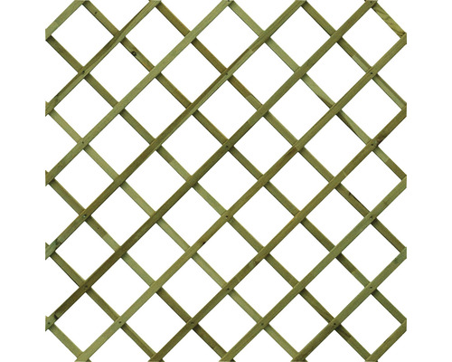 Trellis 120 x 180 cm, drukbehandeld