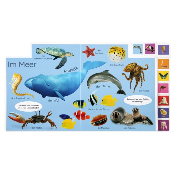 Erstes Lernen - Tiere