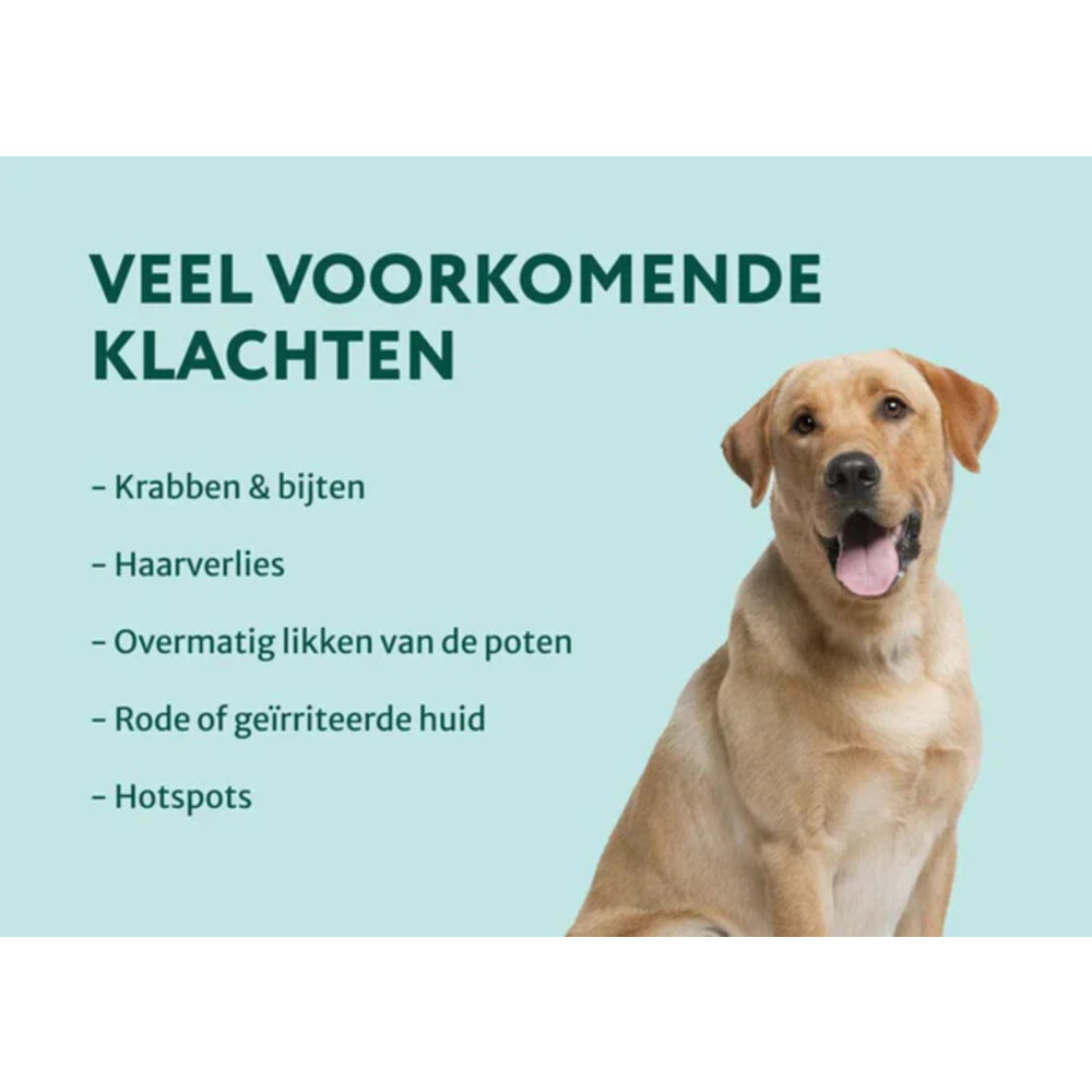 DogSuppy Anti Jeuk Spray 250 ml