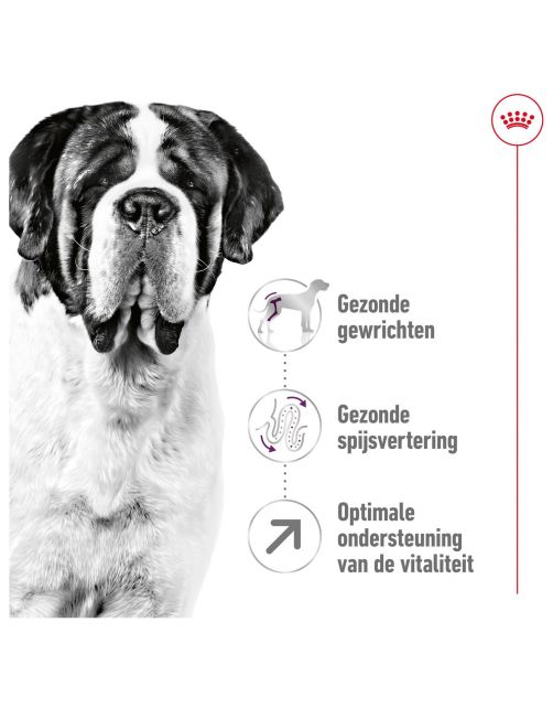 Royal Canin Giant Adult - Hondenvoer