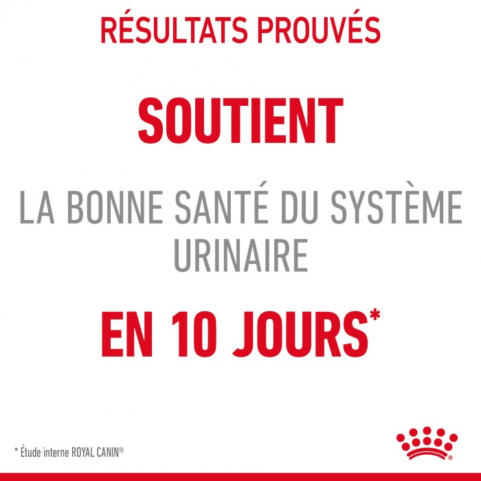 ROYAL CANIN Urinary Care en Gelée – Pâtée pour chat