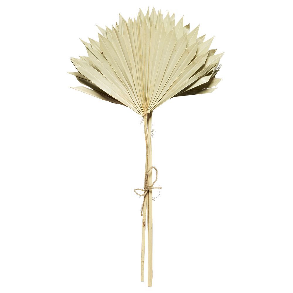 Feuille de palmier séchée - 3 branches H50 cm