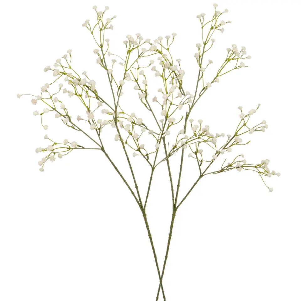 Kunstbloem - gipskruit tak - gebroken wit - 60 cm