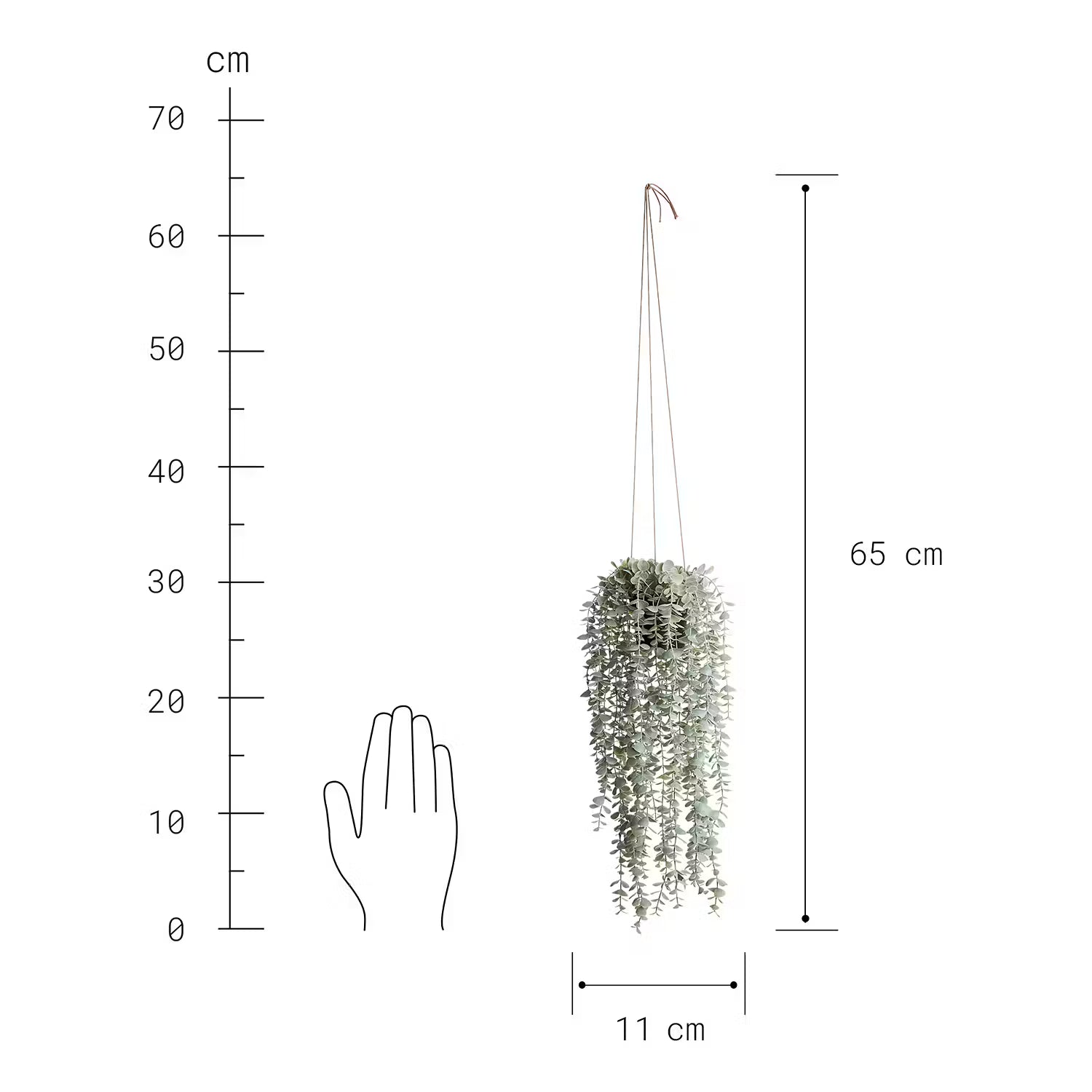 FLORISTA Hängepflanze Eukalyptus 6er-Set