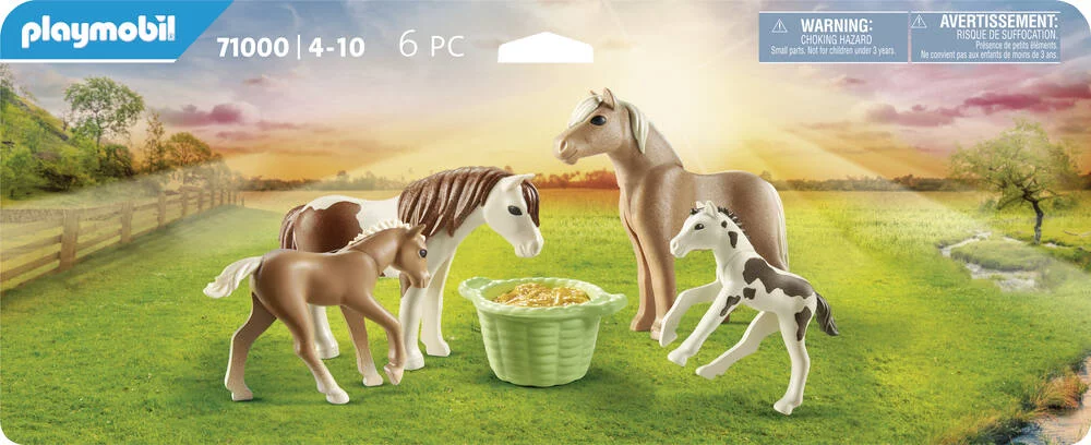 2 PONEYS ISLANDAIS ET POULAINS - 71000