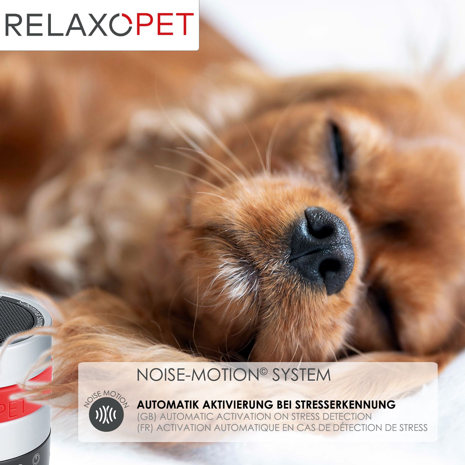 RelaxoPet PRO Entspannungssystem für Hunde