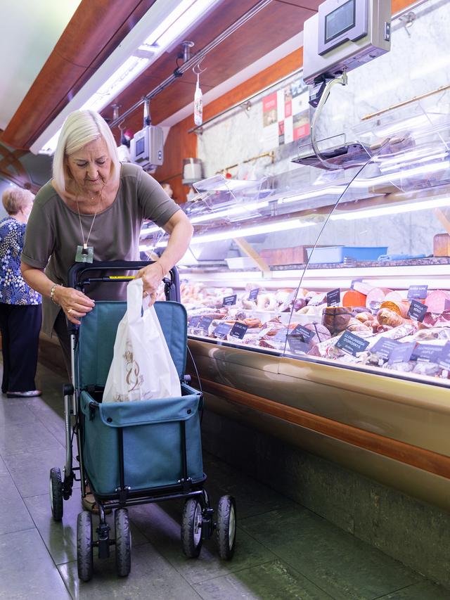 Flex Shopping Rollator 