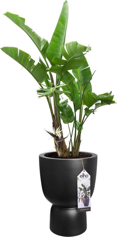 Elho bloempot op voet Pure zwart D 34,9 H 49 cm
