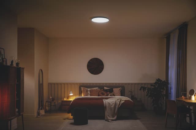 Philips Ozziet loftslampe 22W (sort)