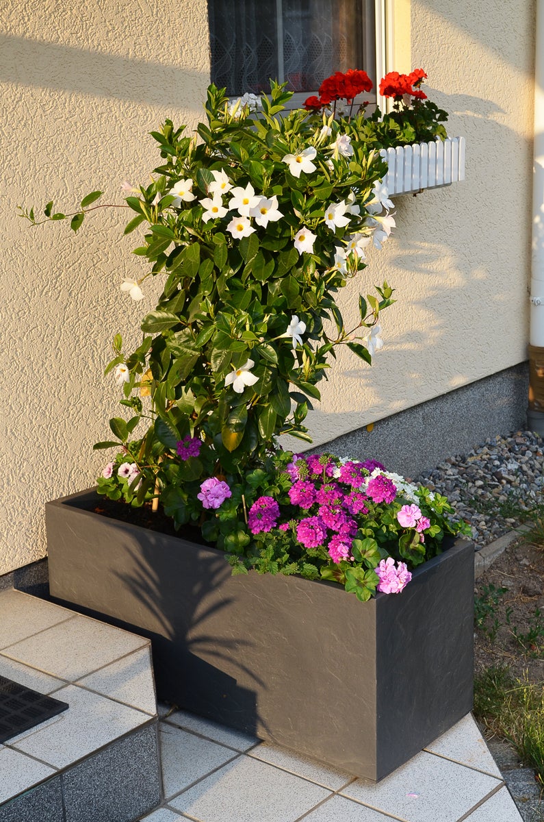 Ondis24 Vulkan 100 plantenbak, dubbelwandige bloempot, antraciet, bloempot, plantenbak